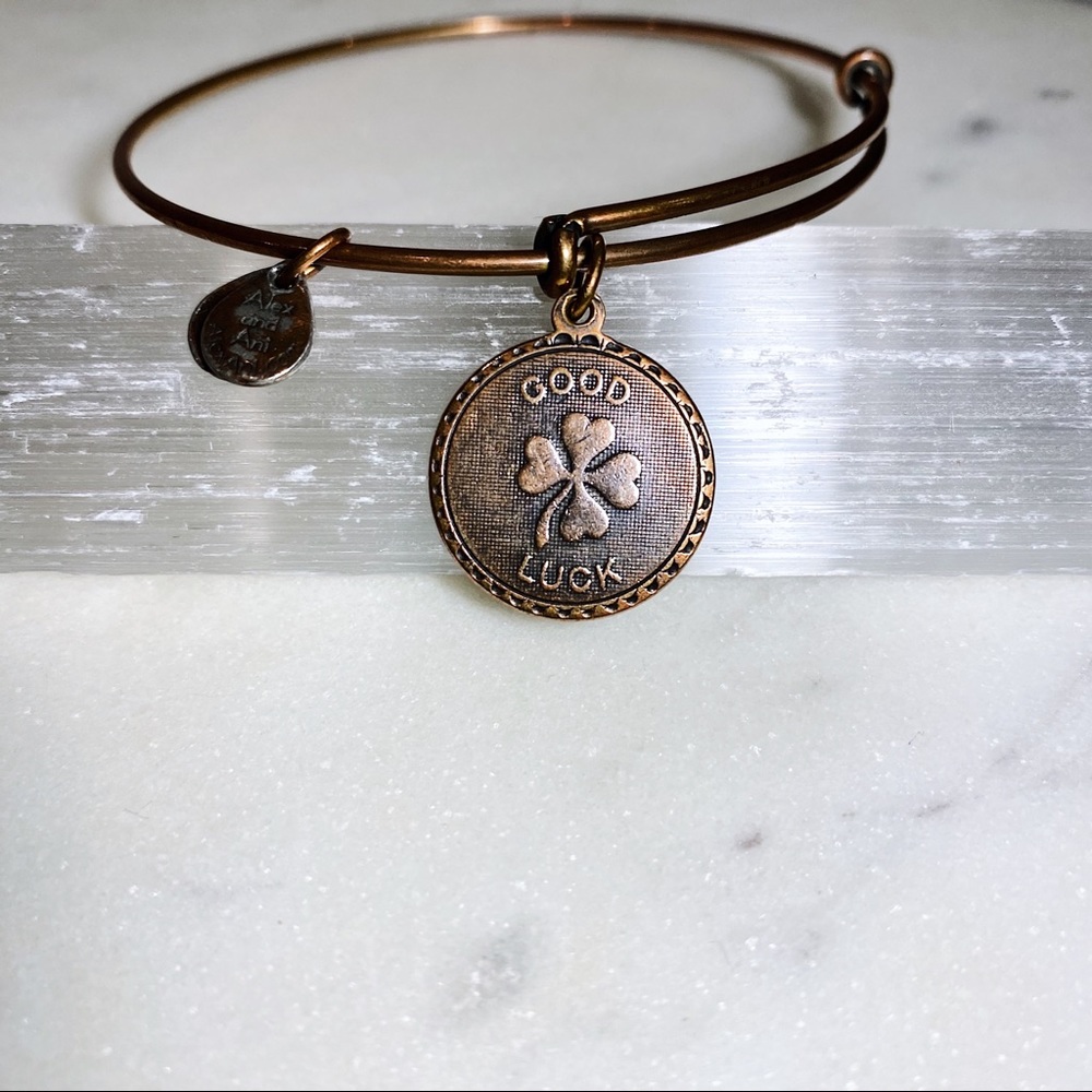 Alex and Ani “Good Luck” Charm Bracelet